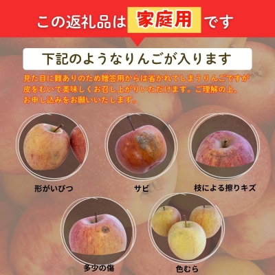  ししどりんご園　りんご「サンふじ」家庭用　約10kg箱入【2026年度発送】No.2965