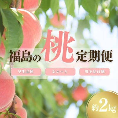 中野/佐藤果樹園 福島の桃3種定期便 各約2kg【2025年発送】No.2967