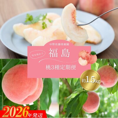 中野/佐藤果樹園 福島の桃3種定期便 各約1.5kg【2026年発送 先行受付】No.2968