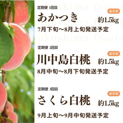 中野/佐藤果樹園 福島の桃3種定期便 各約1.5kg【2026年発送 先行受付】No.2968