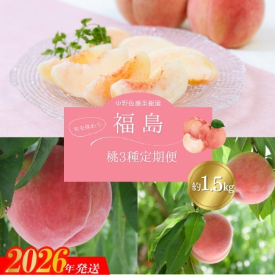 中野/佐藤果樹園 福島の桃3種定期便 各約1.5kg【2026年発送 先行受付】No.2969