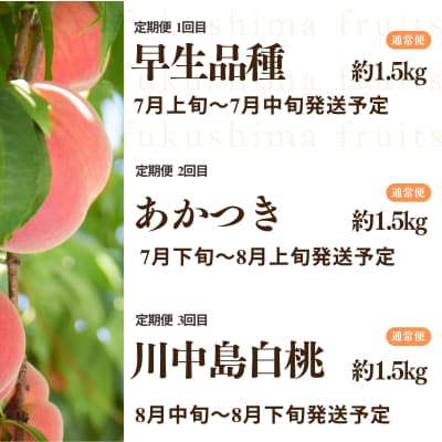 中野/佐藤果樹園 福島の桃3種定期便 各約1.5kg【2026年発送 先行受付】No.2969