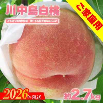もも「川中島白桃」ご家庭用　約2.7kg【2026年発送　先行受付】No.2986