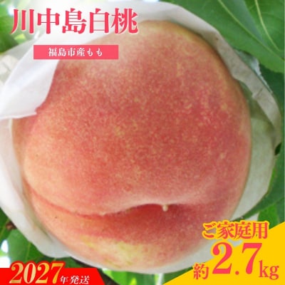 もも「川中島白桃」ご家庭用　約2.7kg【2027年発送　先行予約】No.2986