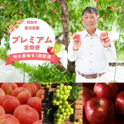  フルーツプレミアム定期便【2026年発送 先行受付】No.3005