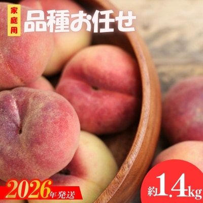  桃　品種お任せ　家庭用　約1.4kg【2026年発送　先行受付】No.3006