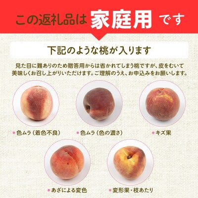  桃　品種お任せ　家庭用　約1.4kg【2026年発送　先行受付】No.3006