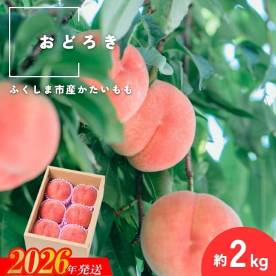  固い桃 おどろき 約2kg(5～7玉)【2026年発送 先行受付】No.2987