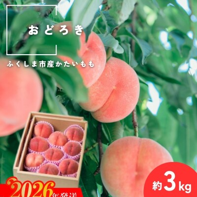 �ł��� ���ǂ낫 ��3kg(7�`11��)�y2026�N���� ��s��t�zNo.2988