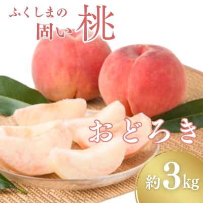  固い桃 おどろき 約3kg(7～11玉)【2025年発送】No.2988