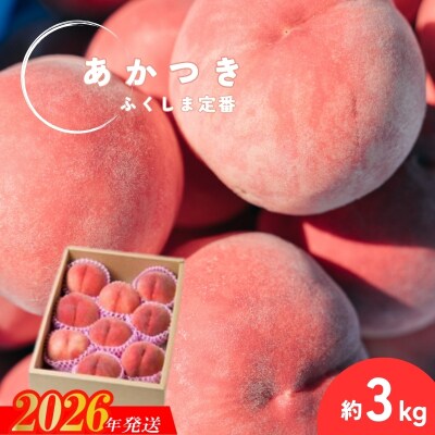 ������� �����������s�Y�����u�������v��3kg(8�`11��)�y2026�N���� ��s��t�zNo.2