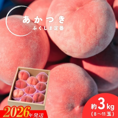  福島定番 福島市産もも「あかつき」約3kg(8～11玉)【2026年発送 先行受付】No.2990