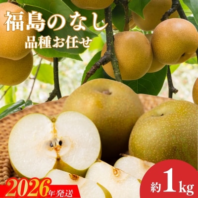  福島のなし 品種お任せ 約1kg【2026年発送】No.3018