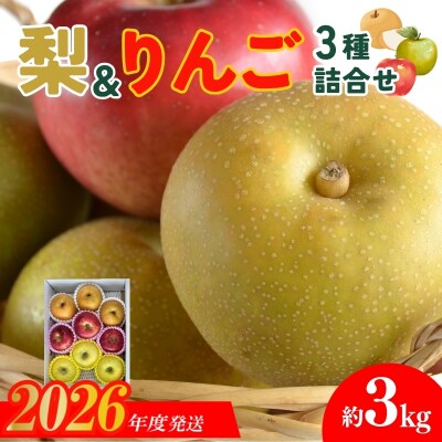  なし&りんご詰合せ 3種 約3kg 【2026年発送】No.3021