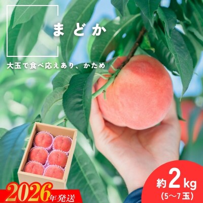  福島県福島市産もも「まどか」約2kg(5～7玉)【2026年発送 先行受付】No.2991