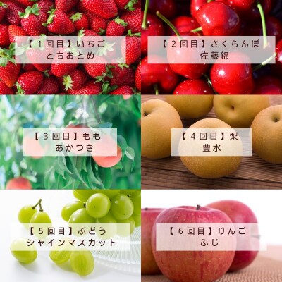 福島の美味しい果物定期便【2025年発送】No.2998