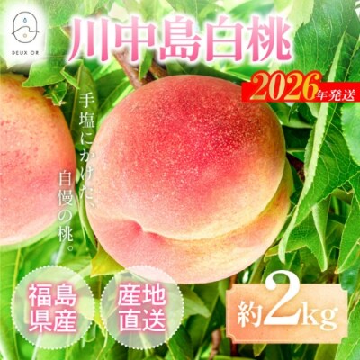 もも「川中島白桃」約2kg【2026年発送 先行受付】No.2671