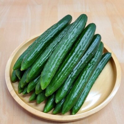  JGAP農家の採れたて新鮮きゅうり　約2kg 秀級品No.2973