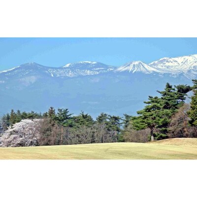  福島ゴルフ倶楽部　ビジター特別割引券No.3000