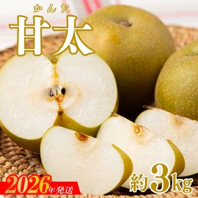  宍戸果樹園　旬の特選梨(甘太3kg)【2026年発送　先行受付】No.3060