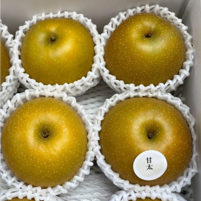  宍戸果樹園　旬の特選梨(甘太3kg)【2026年発送　先行受付】No.3060