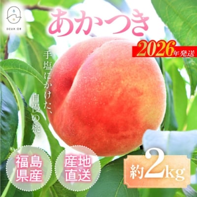 もも「あかつき」約2kg【2026年発送 先行受付】No.2669