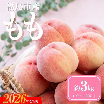  道の駅ふくしま 福島市産もも　約3kg(9玉～12玉)【2026年発送　先行受付】No.3061