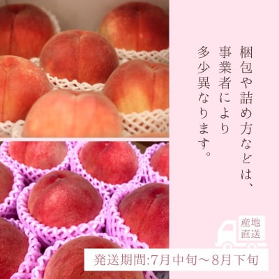  道の駅ふくしま 福島市産もも　約3kg(9玉～12玉)【2026年発送　先行受付】No.3061