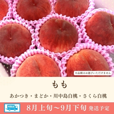  道の駅ふくしま 福島市産もも　約3kg(9玉～12玉)【2026年発送　先行受付】No.3061
