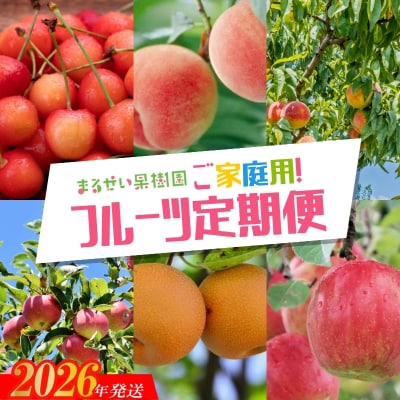  まるせい果樹園　ご家庭用6回定期便【2026年発送 先行受付】No.2945
