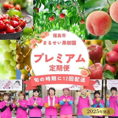 まるせい果樹園 【定期便12回】プレミアムまるかじりコース【2025年発送】No.3131