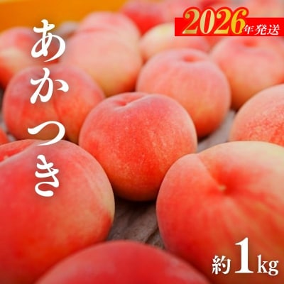  桃(あかつき)約1kg【2026年発送　先行受付】No.3008