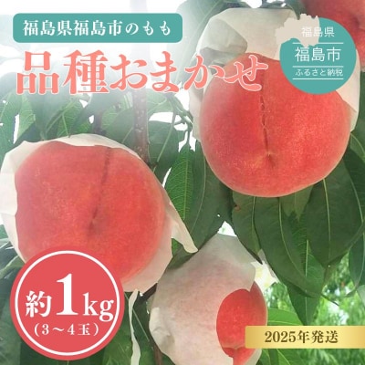 福島の桃 約1kg(3～4玉)品種おまかせ 【2025年発送】 No.3111