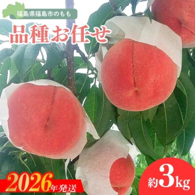  福島の桃 約3kg(9～12玉)品種おまかせ【2026年発送　先行受付】No.3113