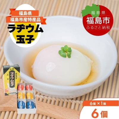 福島飯坂温泉名物 元祖ラヂウム玉子 6個 No.3140