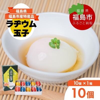 福島飯坂温泉名物 元祖ラヂウム玉子 10個 No.3141