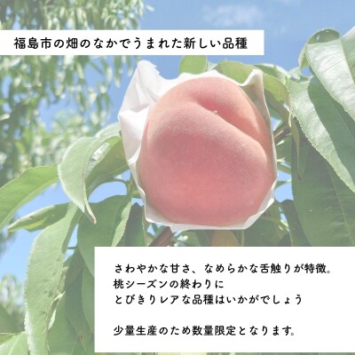  福島のもも「愛みさき」 約2kg【2026年発送　先行予約】No.3234