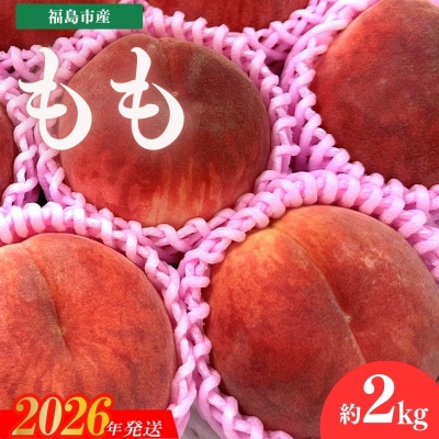  道の駅ふくしま 福島市産 もも　約2kg(5玉～6玉)【2026年発送 先行受付】No.3265