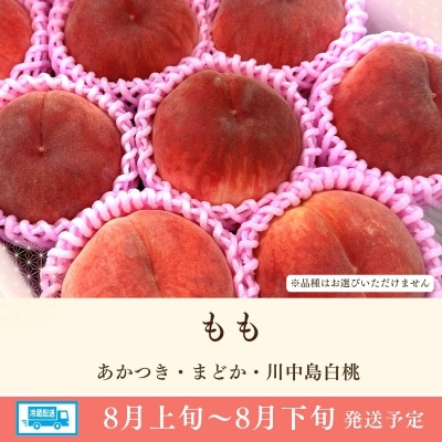  道の駅ふくしま 福島市産 もも　約2kg(5玉～6玉)【2026年発送 先行受付】No.3265