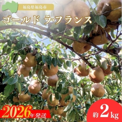  ヤマ考紺野果樹園 ゴールド ラフランス 約2kg【2026年発送 先行受付】No.3245