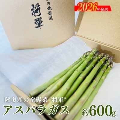  陸奥産の竜髭菜(アスパラガス)"将軍" 約600g【2026年発送 先行受付】No.3249