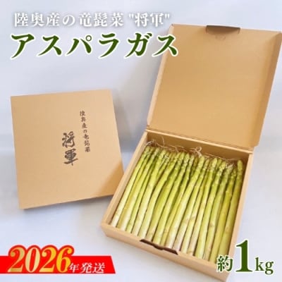  陸奥産の竜髭菜(アスパラガス)"将軍" 約1kg【2026年発送 先行受付】No.3250