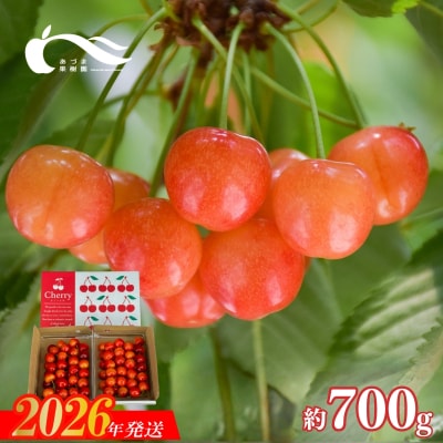 さくらんぼ(佐藤錦又は紅秀峰約700g)【2026年発送　先行受付】No.3263