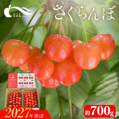 さくらんぼ(佐藤錦又は紅秀峰約700g)【2027年発送 先行予約】No.3263