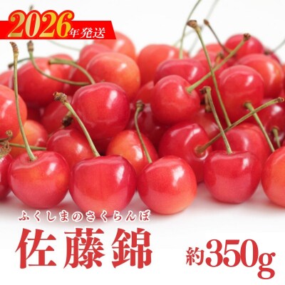 福島のさくらんぼ(佐藤錦)バラ詰め約350g【2026年発送 先行受付】No.1922