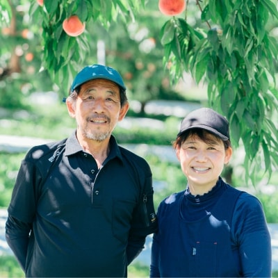  種まきうさぎ 福島市産 黄桃 (品種おまかせ)　約1kg No.3305