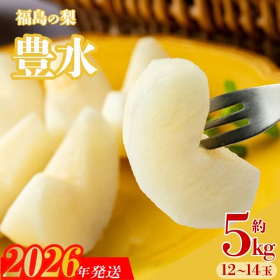 梨　なし　豊水　約5kg　【2026年発送】No.3315