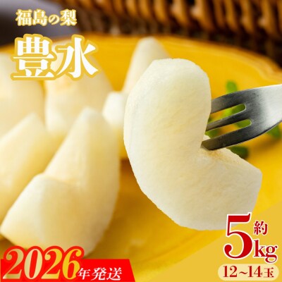 梨　なし　豊水　約5kg　【2026年発送】No.3315