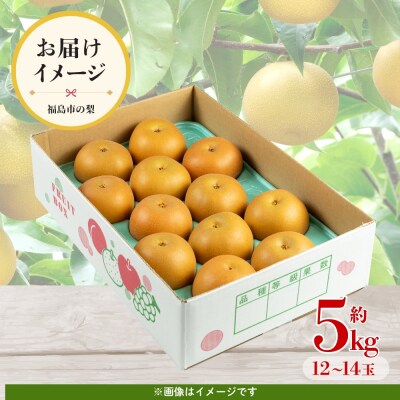 梨　なし　豊水　約5kg　【2026年発送】No.3315