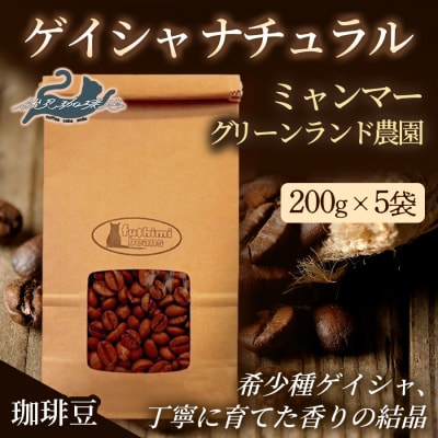 【希少豆ゲイシャ】【ミャンマー】【豆】 高級豆 焙煎豆 200g×5袋No.3277